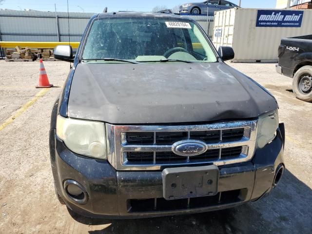 2009 Ford Escape XLT