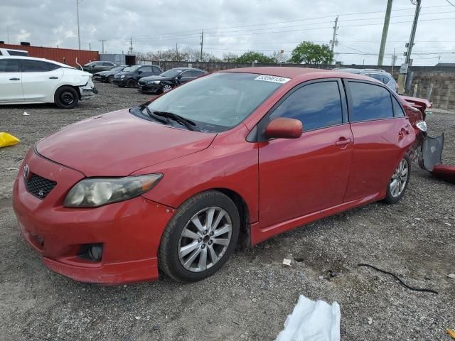 2010 Toyota Corolla Base