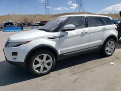 Salvage cars for sale at Littleton, CO auction: 2013 Land Rover Range Rover Evoque Pure Plus