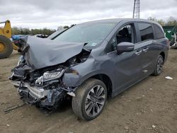 Salvage cars for sale at Windsor, NJ auction: 2024 Honda Odyssey EXL