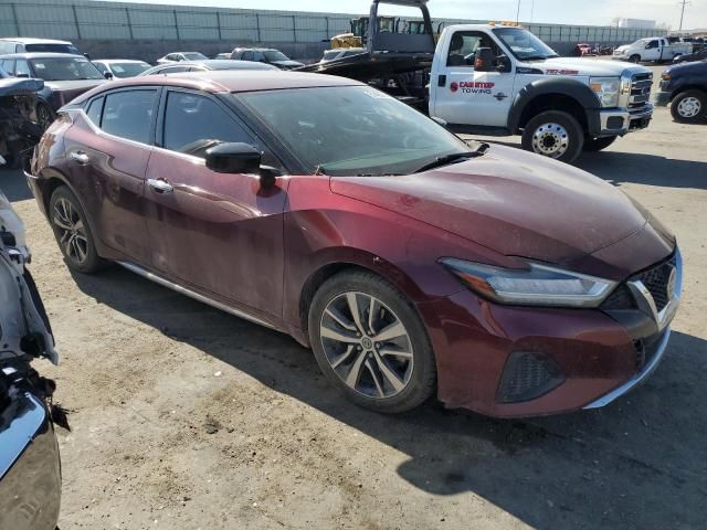 2019 Nissan Maxima S