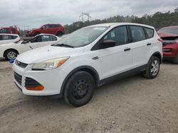 Ford Escape salvage cars for sale: 2013 Ford Escape S