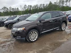 Salvage cars for sale at Harleyville, SC auction: 2013 Lincoln MKX