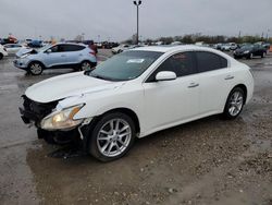 Salvage cars for sale at Indianapolis, IN auction: 2013 Nissan Maxima S