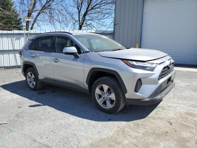 2023 Toyota Rav4 LE