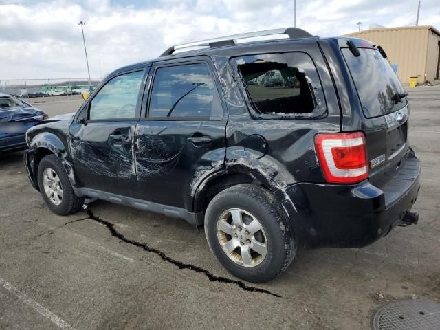 2010 Ford Escape Limited