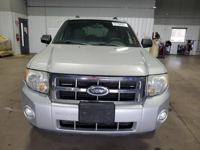 2008 Ford Escape XLT