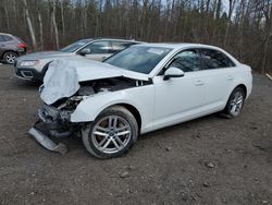Salvage cars for sale from Copart Ontario Auction, ON: 2017 Audi A4 Premium