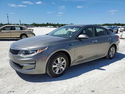 Salvage cars for sale at Arcadia, FL auction: 2016 KIA Optima LX