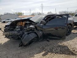 Salvage cars for sale at Columbus, OH auction: 2020 Dodge Charger R/T