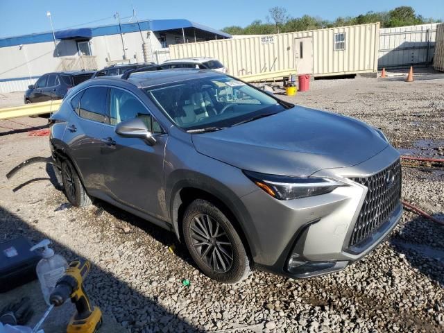 2024 Lexus NX 250 Premium