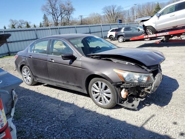 2011 Honda Accord EX