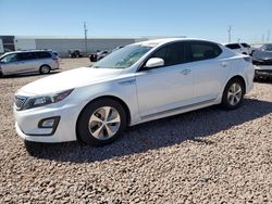 Salvage cars for sale at Phoenix, AZ auction: 2014 KIA Optima Hybrid