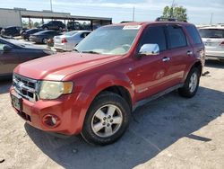 Salvage cars for sale from Copart Riverview, FL: 2008 Ford Escape XLT