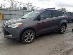 Salvage cars for sale from Copart Walton, KY: 2013 Ford Escape SEL