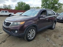 Salvage cars for sale from Copart Baltimore, MD: 2011 KIA Sorento EX