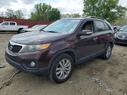 KIA Sorento EX salvage cars for sale: 2011 KIA Sorento EX