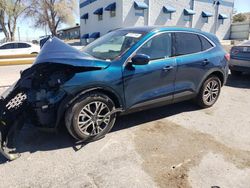 Salvage cars for sale at Albuquerque, NM auction: 2020 Ford Escape SEL
