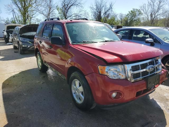 2011 Ford Escape XLT