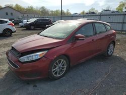 Salvage cars for sale at York Haven, PA auction: 2016 Ford Focus SE