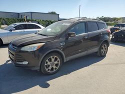 Ford Escape SEL Vehiculos salvage en venta: 2013 Ford Escape SEL