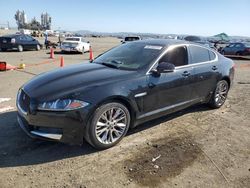 Salvage cars for sale from Copart San Diego, CA: 2013 Jaguar XF