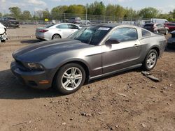 Salvage cars for sale at Chalfont, PA auction: 2010 Ford Mustang