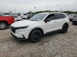 Salvage cars for sale at Indianapolis, IN auction: 2023 Honda CR-V Sport