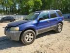 2005 Ford Escape XLT