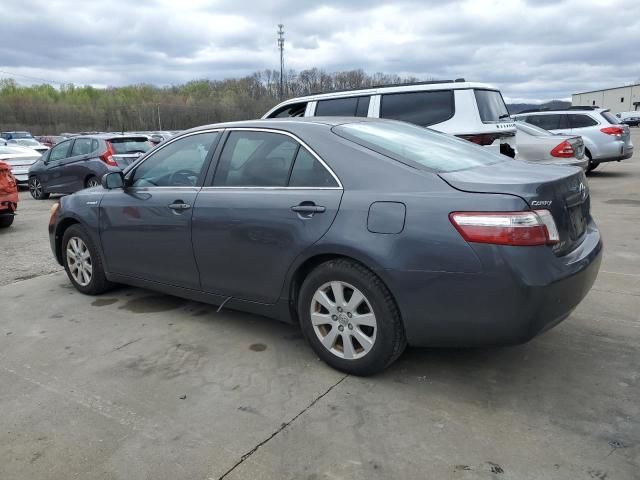 2009 Toyota Camry Hybrid