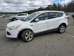 Ford salvage cars for sale: 2014 Ford Escape SE