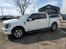 Salvage cars for sale at Montreal Est, QC auction: 2023 Ford F150 Supercrew