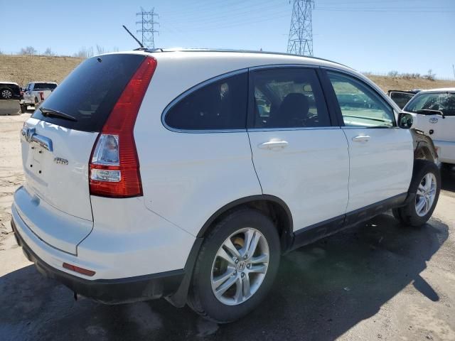 2010 Honda CR-V EXL