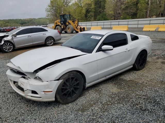 2014 Ford Mustang