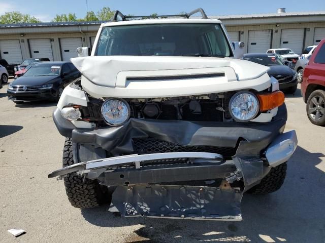 2010 Toyota FJ Cruiser