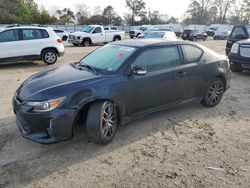 Scion salvage cars for sale: 2015 Scion TC