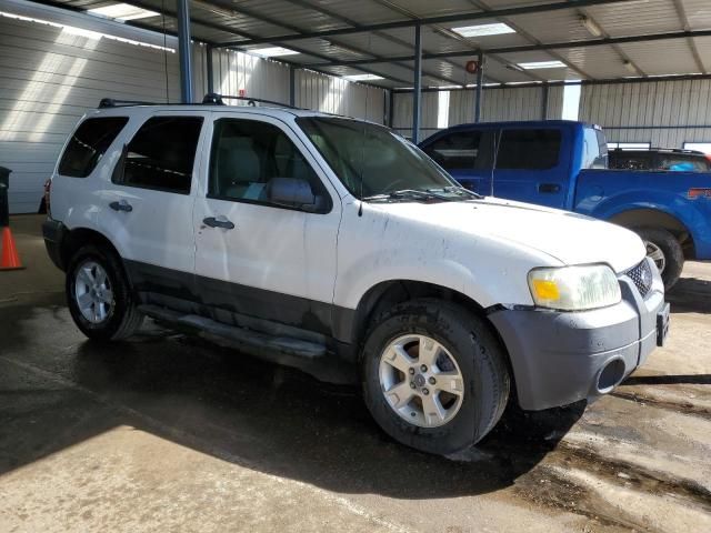 2006 Ford Escape XLT