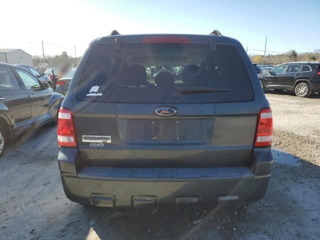 2008 Ford Escape XLT