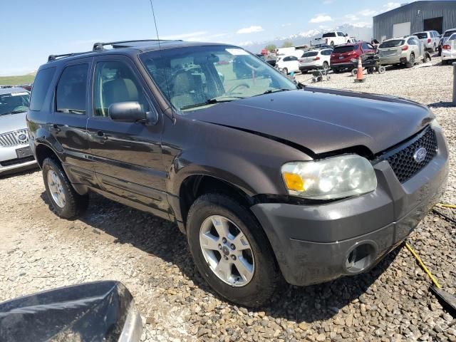 2006 Ford Escape XLT