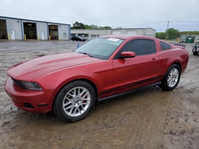 2011 Ford Mustang