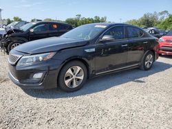 Salvage cars for sale at Riverview, FL auction: 2014 KIA Optima Hybrid