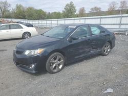 Salvage cars for sale at Grantville, PA auction: 2014 Toyota Camry L