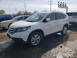 Salvage cars for sale from Copart Columbus, OH: 2013 Honda CR-V EXL