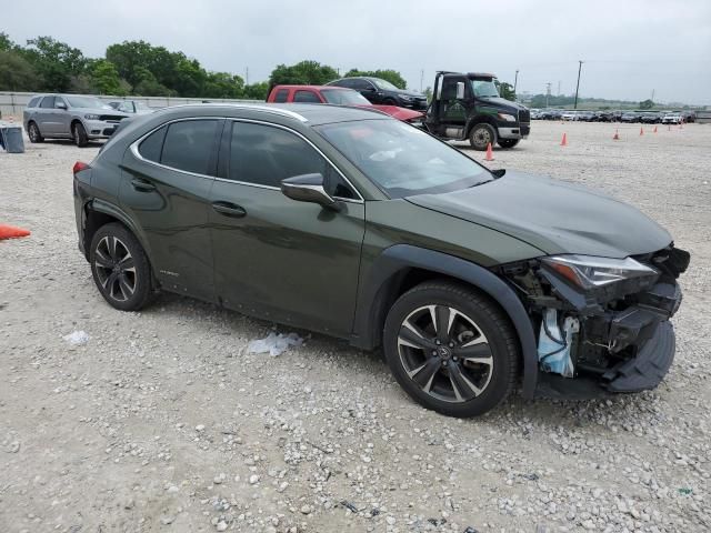 2020 Lexus UX 250H