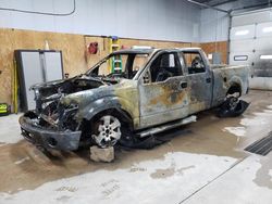 Salvage cars for sale from Copart Kincheloe, MI: 2014 Ford F150 Supercrew