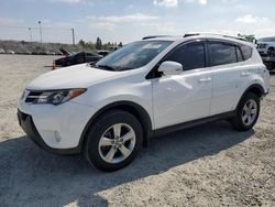 Salvage cars for sale at Mentone, CA auction: 2015 Toyota Rav4 XLE