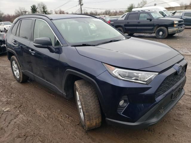 2019 Toyota Rav4 XLE