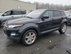 Land Rover Range Rover salvage cars for sale: 2015 Land Rover Range Rover Evoque Pure Plus