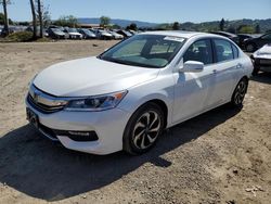 Honda Accord salvage cars for sale: 2017 Honda Accord EXL