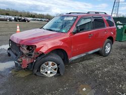 Salvage cars for sale at Windsor, NJ auction: 2010 Ford Escape XLT
